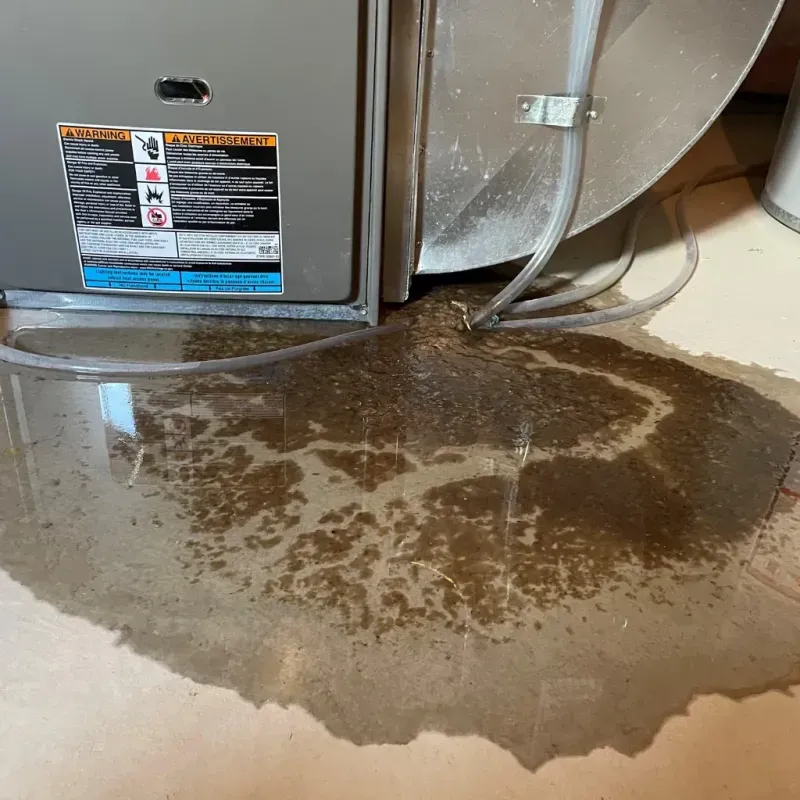 Appliance Leak Cleanup in Burke, SD